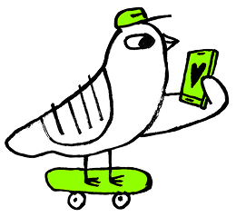 bird